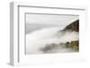 Fog on the Wiedener Eck, Black Forest, Baden-Wurttemberg, Germany-Markus Lange-Framed Photographic Print