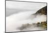 Fog on the Wiedener Eck, Black Forest, Baden-Wurttemberg, Germany-Markus Lange-Mounted Photographic Print