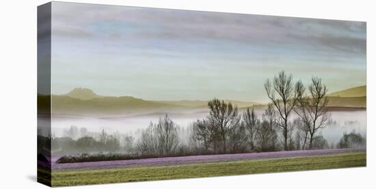 Fog Orca Valley-Paolo De Faveri-Stretched Canvas