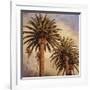 Fog over Canary Palms-Rick Garcia-Framed Giclee Print