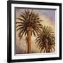 Fog over Canary Palms-Rick Garcia-Framed Giclee Print