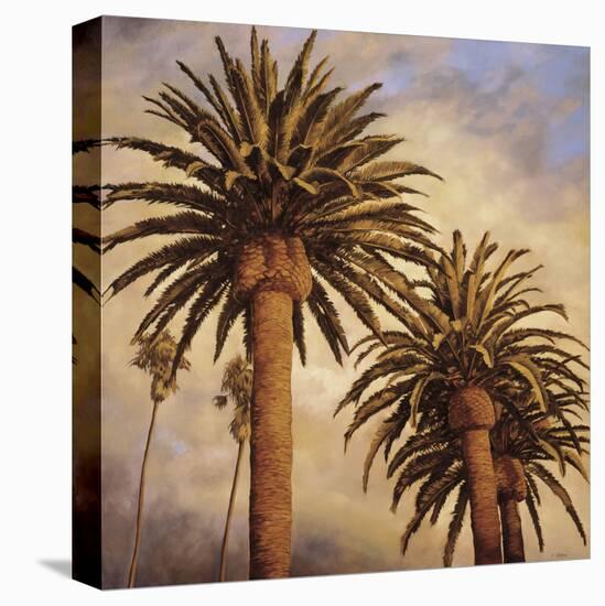 Fog over Canary Palms-Rick Garcia-Stretched Canvas