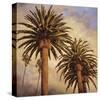 Fog over Canary Palms-Rick Garcia-Stretched Canvas