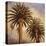Fog over Canary Palms-Rick Garcia-Stretched Canvas