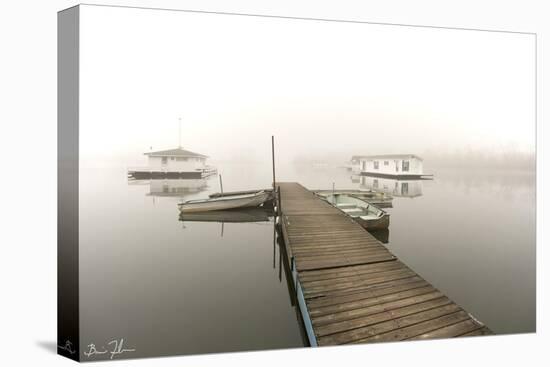 Fog Over Horseshoe Pond-5fishcreative-Stretched Canvas