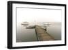 Fog Over Horseshoe Pond-5fishcreative-Framed Giclee Print