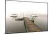 Fog Over Horseshoe Pond-5fishcreative-Mounted Giclee Print