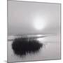 Fog over Katama-Michael Kahn-Mounted Giclee Print