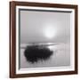 Fog over Katama-Michael Kahn-Framed Giclee Print