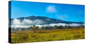 Fog over mountain, Cades Cove, Great Smoky Mountains National Park, Tennessee, USA-null-Stretched Canvas