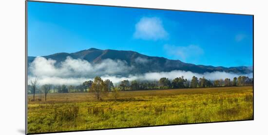 Fog over mountain, Cades Cove, Great Smoky Mountains National Park, Tennessee, USA-null-Mounted Photographic Print