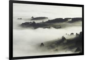 Fog over Otago Harbour and Otago Peninsula, Dunedin, South Island, New Zealand-David Wall-Framed Photographic Print