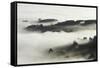 Fog over Otago Harbour and Otago Peninsula, Dunedin, South Island, New Zealand-David Wall-Framed Stretched Canvas