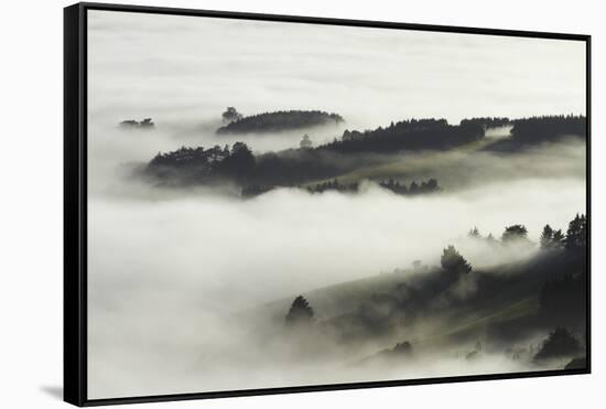 Fog over Otago Harbour and Otago Peninsula, Dunedin, South Island, New Zealand-David Wall-Framed Stretched Canvas