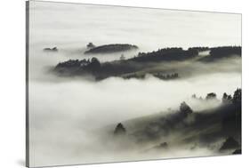Fog over Otago Harbour and Otago Peninsula, Dunedin, South Island, New Zealand-David Wall-Stretched Canvas