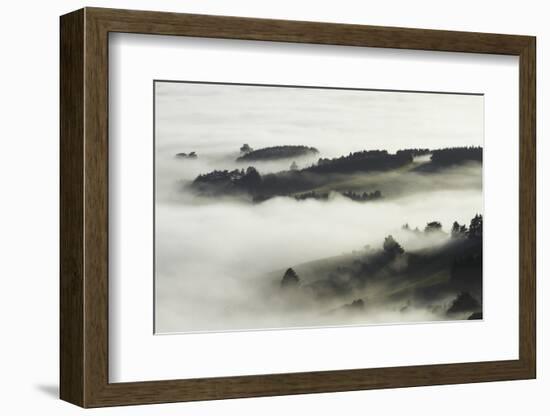 Fog over Otago Harbour and Otago Peninsula, Dunedin, South Island, New Zealand-David Wall-Framed Photographic Print