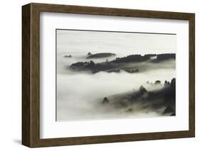 Fog over Otago Harbour and Otago Peninsula, Dunedin, South Island, New Zealand-David Wall-Framed Photographic Print