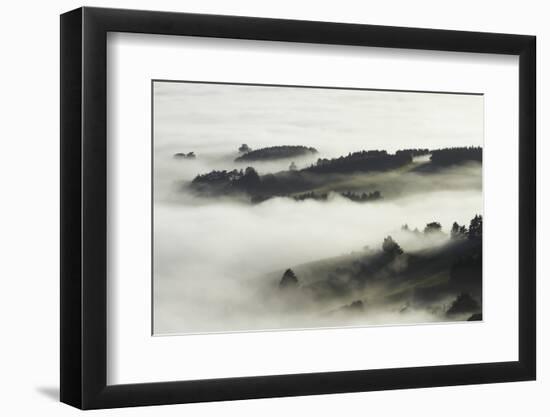 Fog over Otago Harbour and Otago Peninsula, Dunedin, South Island, New Zealand-David Wall-Framed Photographic Print