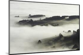 Fog over Otago Harbour and Otago Peninsula, Dunedin, South Island, New Zealand-David Wall-Mounted Photographic Print
