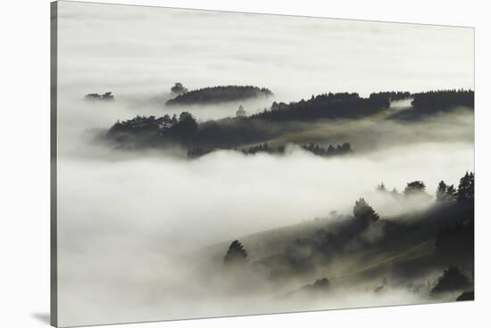 Fog over Otago Harbour and Otago Peninsula, Dunedin, South Island, New Zealand-David Wall-Stretched Canvas