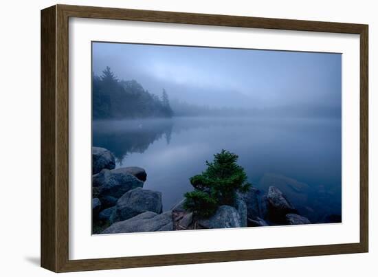 Fog over pond at sunrise, Copperas Pond, Adirondack Mountains State Park, New York State, USA-null-Framed Photographic Print