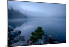 Fog over pond at sunrise, Copperas Pond, Adirondack Mountains State Park, New York State, USA-null-Mounted Photographic Print