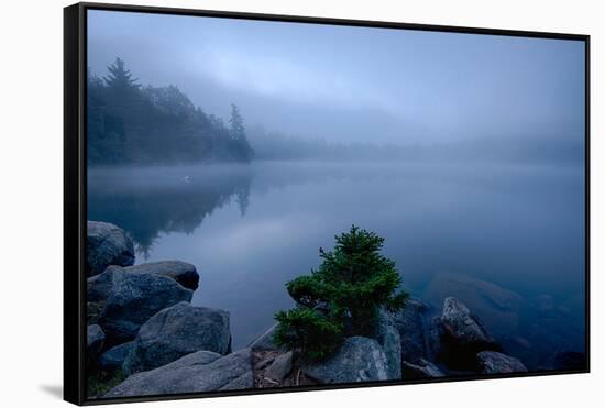 Fog over pond at sunrise, Copperas Pond, Adirondack Mountains State Park, New York State, USA-null-Framed Stretched Canvas