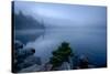 Fog over pond at sunrise, Copperas Pond, Adirondack Mountains State Park, New York State, USA-null-Stretched Canvas