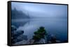 Fog over pond at sunrise, Copperas Pond, Adirondack Mountains State Park, New York State, USA-null-Framed Stretched Canvas