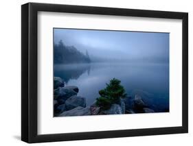 Fog over pond at sunrise, Copperas Pond, Adirondack Mountains State Park, New York State, USA-null-Framed Photographic Print