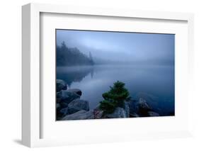 Fog over pond at sunrise, Copperas Pond, Adirondack Mountains State Park, New York State, USA-null-Framed Photographic Print