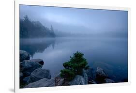 Fog over pond at sunrise, Copperas Pond, Adirondack Mountains State Park, New York State, USA-null-Framed Photographic Print