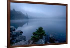 Fog over pond at sunrise, Copperas Pond, Adirondack Mountains State Park, New York State, USA-null-Framed Photographic Print