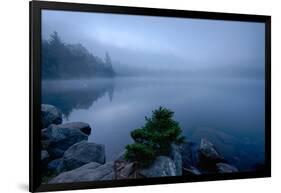 Fog over pond at sunrise, Copperas Pond, Adirondack Mountains State Park, New York State, USA-null-Framed Photographic Print