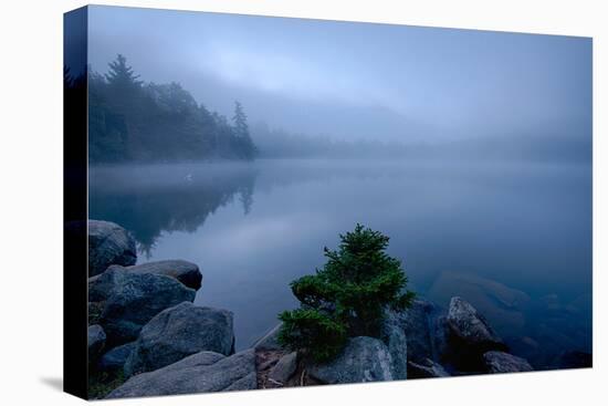 Fog over pond at sunrise, Copperas Pond, Adirondack Mountains State Park, New York State, USA-null-Stretched Canvas