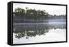 Fog over the Lake in Long Pine Area of Everglades NP-Terry Eggers-Framed Stretched Canvas