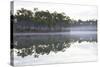 Fog over the Lake in Long Pine Area of Everglades NP-Terry Eggers-Stretched Canvas