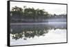 Fog over the Lake in Long Pine Area of Everglades NP-Terry Eggers-Framed Stretched Canvas