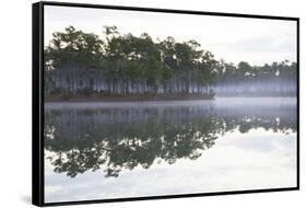 Fog over the Lake in Long Pine Area of Everglades NP-Terry Eggers-Framed Stretched Canvas