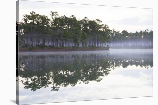 Fog over the Lake in Long Pine Area of Everglades NP-Terry Eggers-Stretched Canvas