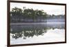 Fog over the Lake in Long Pine Area of Everglades NP-Terry Eggers-Framed Photographic Print