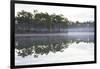 Fog over the Lake in Long Pine Area of Everglades NP-Terry Eggers-Framed Photographic Print