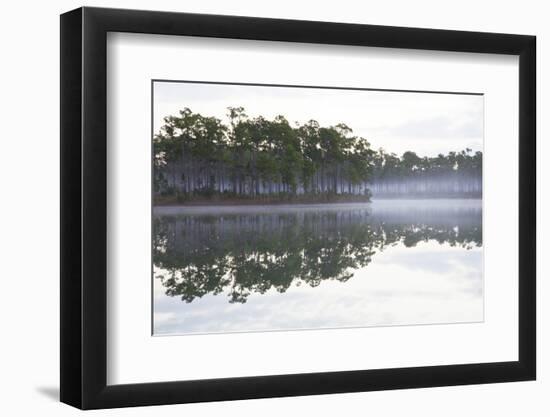 Fog over the Lake in Long Pine Area of Everglades NP-Terry Eggers-Framed Photographic Print