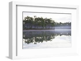 Fog over the Lake in Long Pine Area of Everglades NP-Terry Eggers-Framed Photographic Print