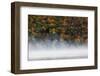 Fog over trees, Keuka Lake Vineyard, Hammondsport, Finger Lakes Region, New York State, USA-Panoramic Images-Framed Photographic Print