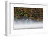 Fog over trees, Keuka Lake Vineyard, Hammondsport, Finger Lakes Region, New York State, USA-Panoramic Images-Framed Photographic Print