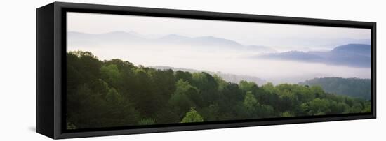 Fog over Valley, Great Smoky Mountains National Park, Tennessee, USA-null-Framed Stretched Canvas