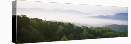 Fog over Valley, Great Smoky Mountains National Park, Tennessee, USA-null-Stretched Canvas