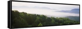 Fog over Valley, Great Smoky Mountains National Park, Tennessee, USA-null-Framed Stretched Canvas