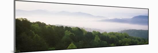 Fog over Valley, Great Smoky Mountains National Park, Tennessee, USA-null-Mounted Photographic Print